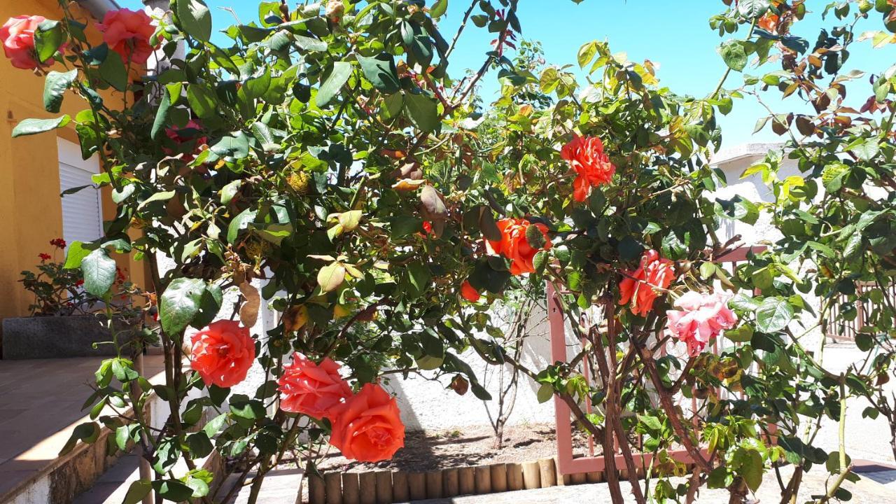 Casa Els Rosers Wifi L' Escala Exteriör bild
